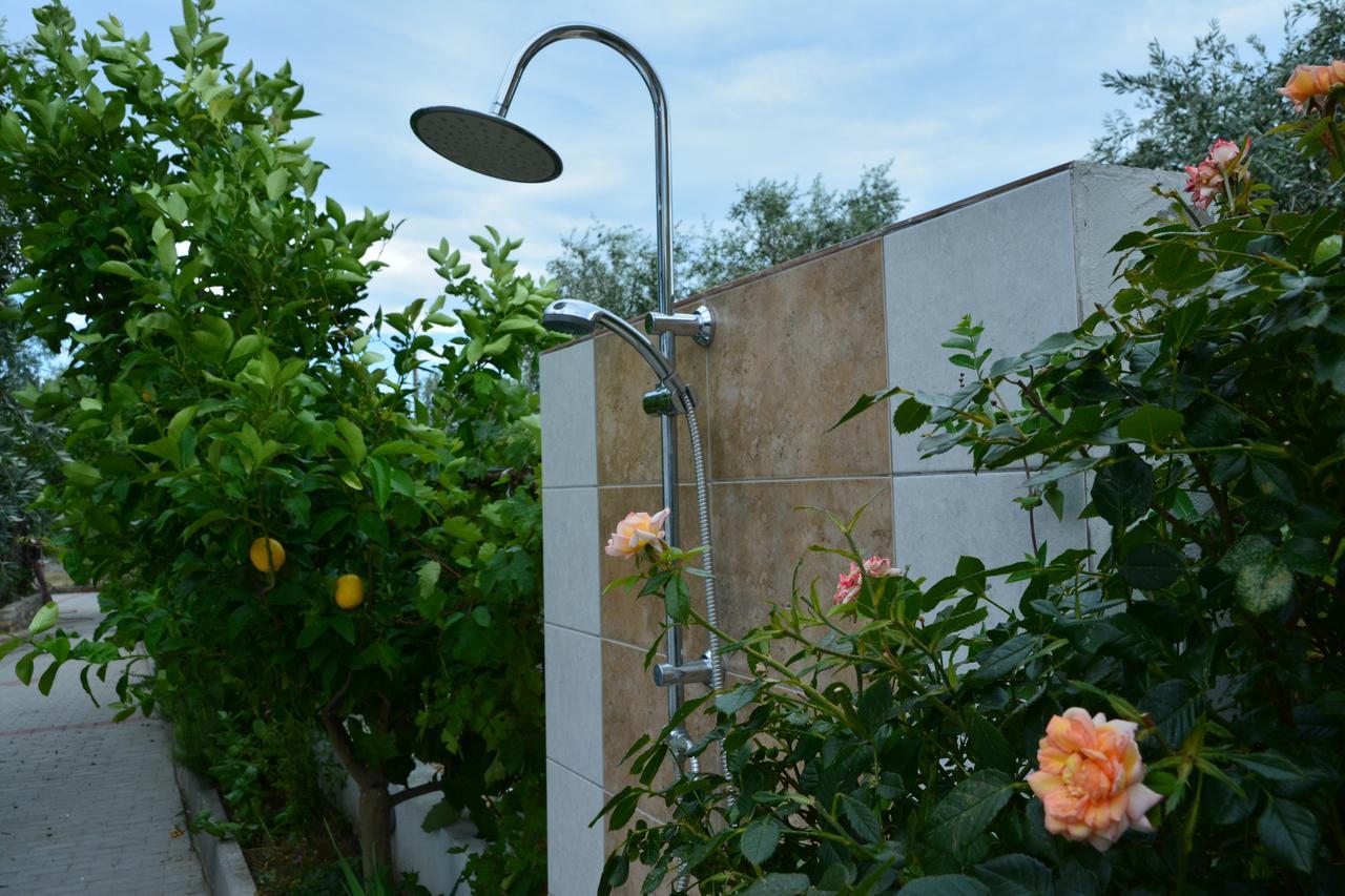 Apartment Scandia Villas