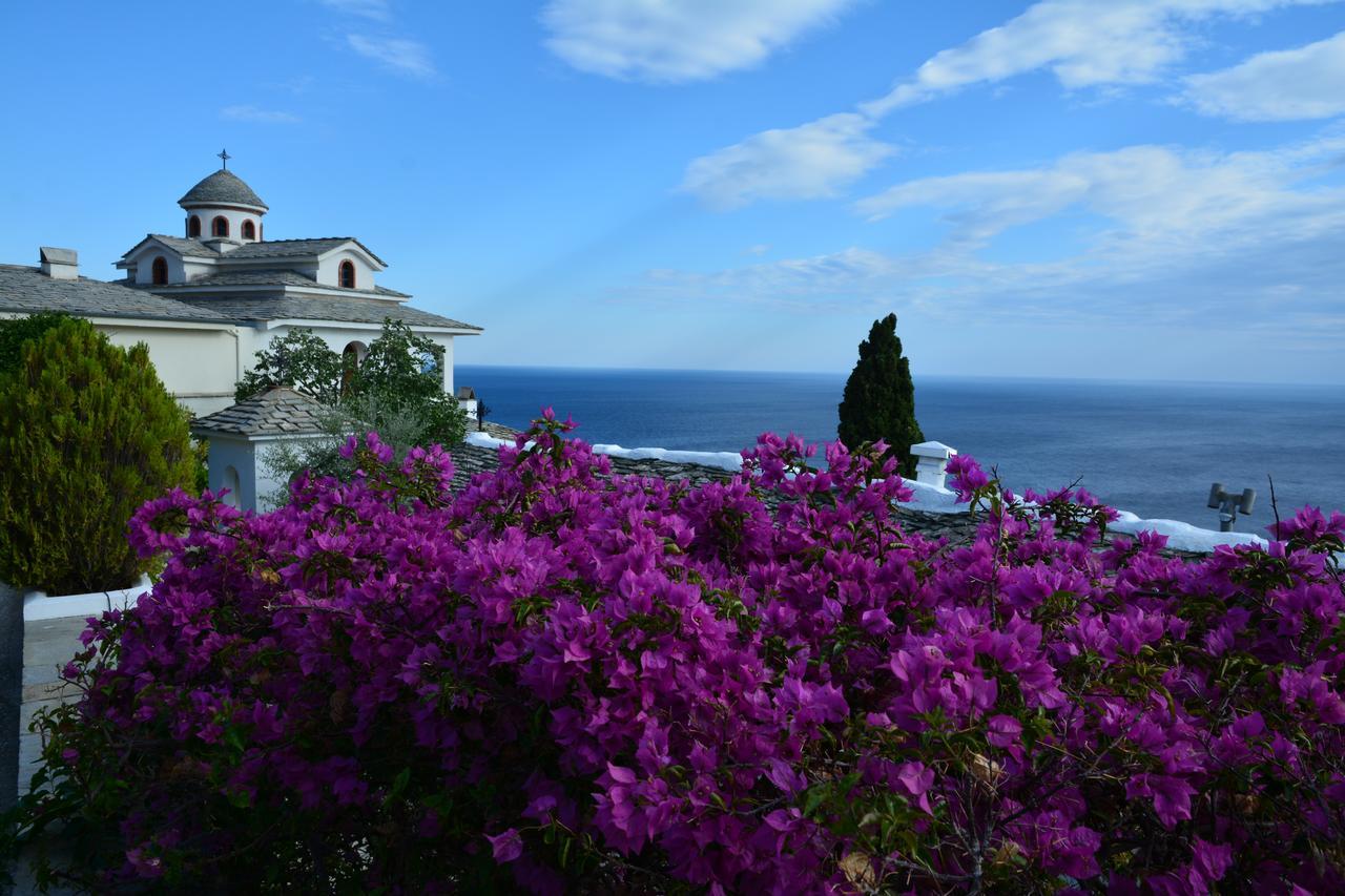 Scandia Villas Potos